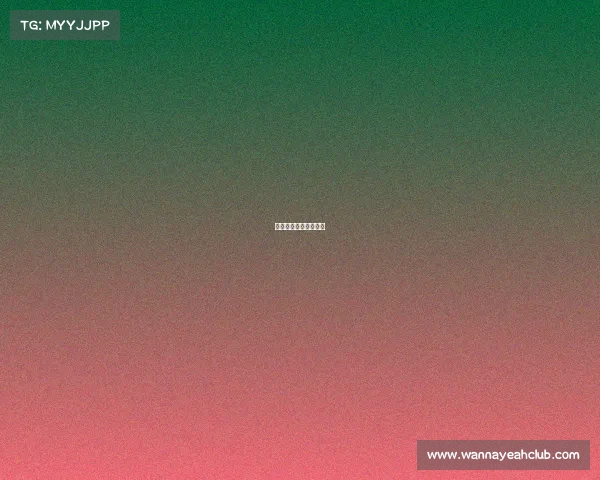 国际乒联匈牙利公开赛